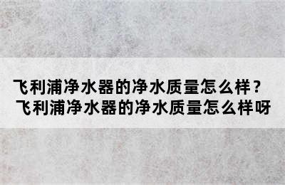 飞利浦净水器的净水质量怎么样？ 飞利浦净水器的净水质量怎么样呀